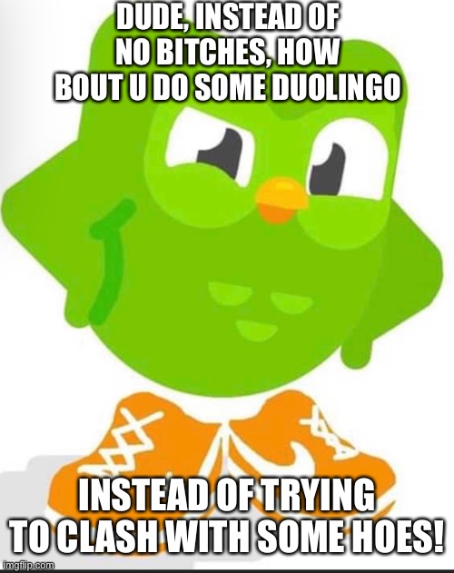 Duolingo meme | DUDE, INSTEAD OF NO BITCHES, HOW BOUT U DO SOME DUOLINGO; INSTEAD OF TRYING TO CLASH WITH SOME HOES! | image tagged in memes | made w/ Imgflip meme maker