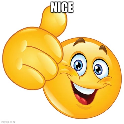Thumbs up bitches | NICE | image tagged in thumbs up bitches | made w/ Imgflip meme maker