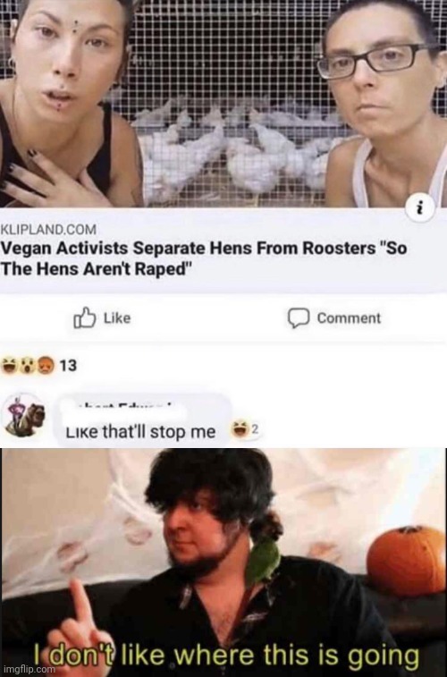 Poor chickens | image tagged in e | made w/ Imgflip meme maker