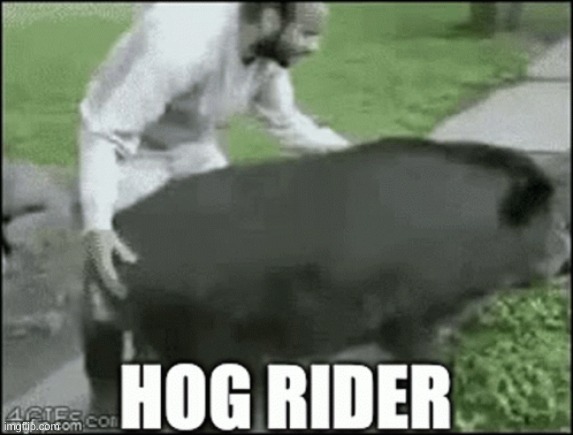Irl Hog Rider | image tagged in lol | made w/ Imgflip meme maker