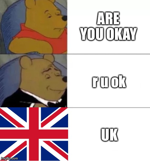 creative title go brrrr | ARE YOU OKAY; r u ok; UK | image tagged in fancy pooh | made w/ Imgflip meme maker