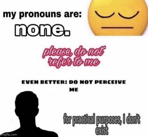 No pronouns | image tagged in no pronouns | made w/ Imgflip meme maker