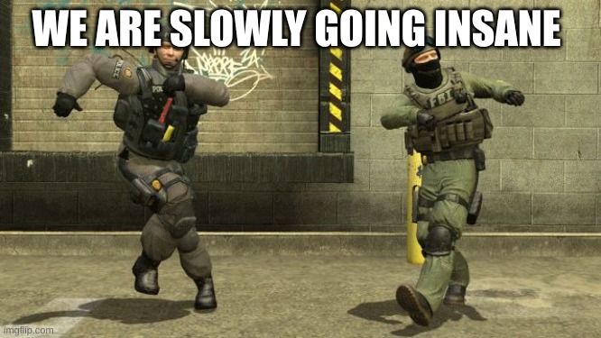 Cs Go meme PL | WE ARE SLOWLY GOING INSANE | image tagged in cs go meme pl | made w/ Imgflip meme maker