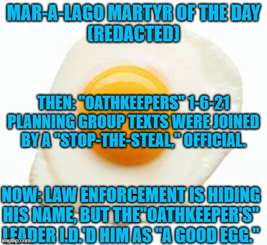 The only conspiracy theory the extreme right rejects is closing in on Trump. | MAR-A-LAGO MARTYR OF THE DAY
(REDACTED); THEN: "OATHKEEPERS" 1-6-21 PLANNING GROUP TEXTS WERE JOINED BY A "STOP-THE-STEAL," OFFICIAL. NOW: LAW ENFORCEMENT IS HIDING HIS NAME, BUT THE"OATHKEEPER'S" LEADER I.D.'D HIM AS "A GOOD EGG." | image tagged in politics | made w/ Imgflip meme maker