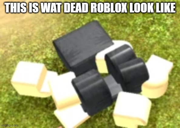 THIS IS WAT DEAD ROBLOX LOOK LIKE | made w/ Imgflip meme maker