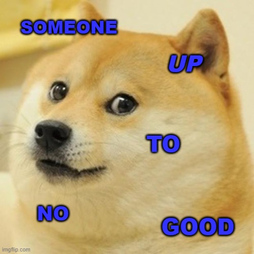 comment 48 | SOMEONE; UP; TO; NO; GOOD | image tagged in memes,doge | made w/ Imgflip meme maker