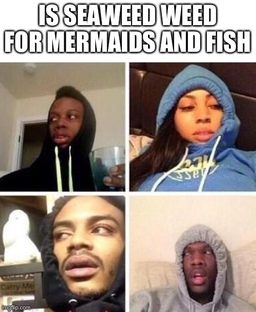 *Hits blunt | IS SEAWEED WEED FOR MERMAIDS AND FISH | image tagged in hits blunt | made w/ Imgflip meme maker