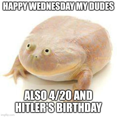 4/20 is Hitler's birthday | HAPPY WEDNESDAY MY DUDES; ALSO 4/20 AND HITLER'S BIRTHDAY | image tagged in wednesday frog blank | made w/ Imgflip meme maker