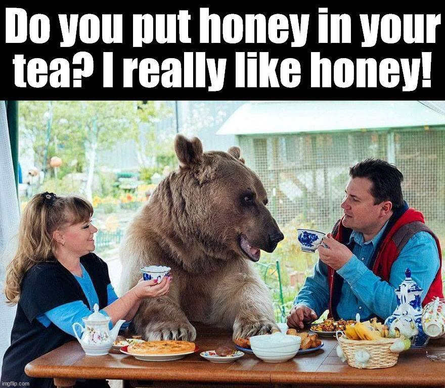 Do you put honey in your tea? I really like honey! | image tagged in wholesome | made w/ Imgflip meme maker