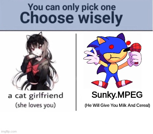 Choose |  Sunky.MPEG; (He Will Give You Milk And Cereal) | image tagged in choose wisely | made w/ Imgflip meme maker