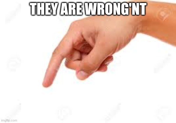 They are correct'nt | THEY ARE WRONG'NT | image tagged in the person below | made w/ Imgflip meme maker
