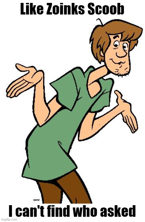 Who asked |  Like Zoinks Scoob; I can't find who asked | image tagged in shaggy from scooby doo | made w/ Imgflip meme maker