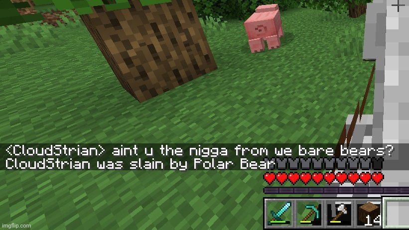 Minecraft bear | image tagged in minecraft bear | made w/ Imgflip meme maker