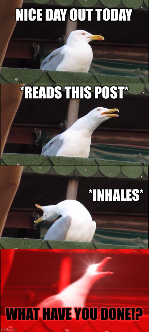 Inhaling Seagull Meme | NICE DAY OUT TODAY *READS THIS POST* *INHALES* WHAT HAVE YOU DONE!? | image tagged in memes,inhaling seagull | made w/ Imgflip meme maker