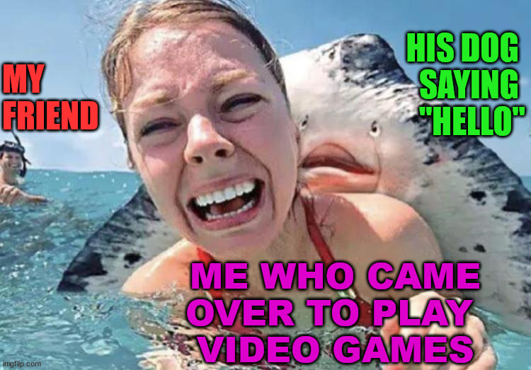 Stingray Attack | HIS DOG 
SAYING 
"HELLO"; MY FRIEND; ME WHO CAME OVER TO PLAY 
VIDEO GAMES | image tagged in stingray attack | made w/ Imgflip meme maker