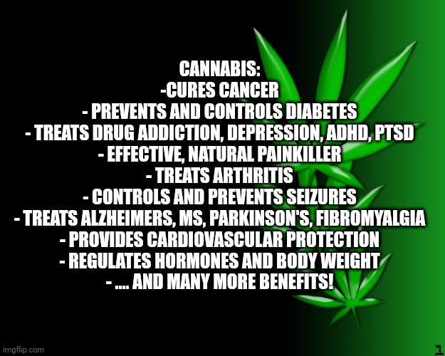 Cannabis Leaves | CANNABIS:

-CURES CANCER
- PREVENTS AND CONTROLS DIABETES
- TREATS DRUG ADDICTION, DEPRESSION, ADHD, PTSD
- EFFECTIVE, NATURAL PAINKILLER
- TREATS ARTHRITIS
- CONTROLS AND PREVENTS SEIZURES
- TREATS ALZHEIMERS, MS, PARKINSON'S, FIBROMYALGIA
- PROVIDES CARDIOVASCULAR PROTECTION
- REGULATES HORMONES AND BODY WEIGHT
- .... AND MANY MORE BENEFITS! | image tagged in cannabis leaves | made w/ Imgflip meme maker