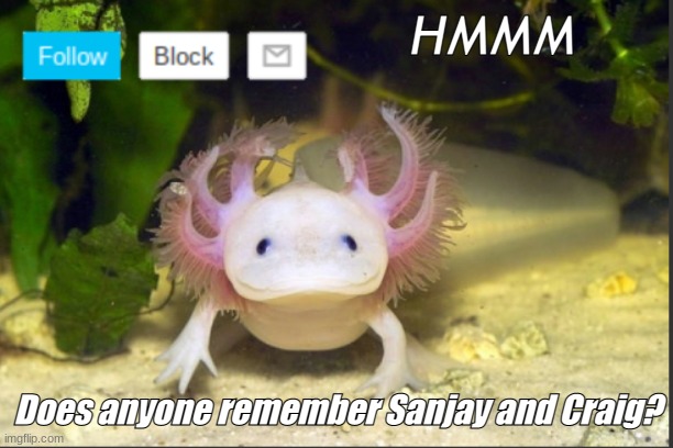 AxolotlDudes announcement template | HMMM; Does anyone remember Sanjay and Craig? | image tagged in axolotldudes announcement template | made w/ Imgflip meme maker