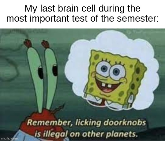 say goodbye to your gpa | My last brain cell during the most important test of the semester: | image tagged in spongebob licking doorknobs | made w/ Imgflip meme maker