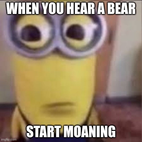 WHEN YOU HEAR A BEAR; START MOANING | image tagged in minion,bear,meme,yes | made w/ Imgflip meme maker