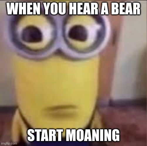 Image Tagged In Minion bear meme yes Imgflip