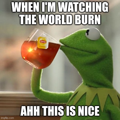 But That's None Of My Business Meme | WHEN I'M WATCHING THE WORLD BURN; AHH THIS IS NICE | image tagged in memes,but that's none of my business,kermit the frog | made w/ Imgflip meme maker