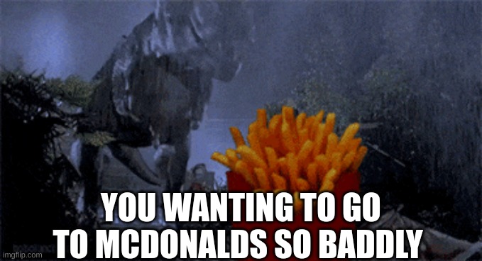 You wanting fries | YOU WANTING TO GO TO MCDONALDS SO BADDLY | image tagged in memes | made w/ Imgflip meme maker