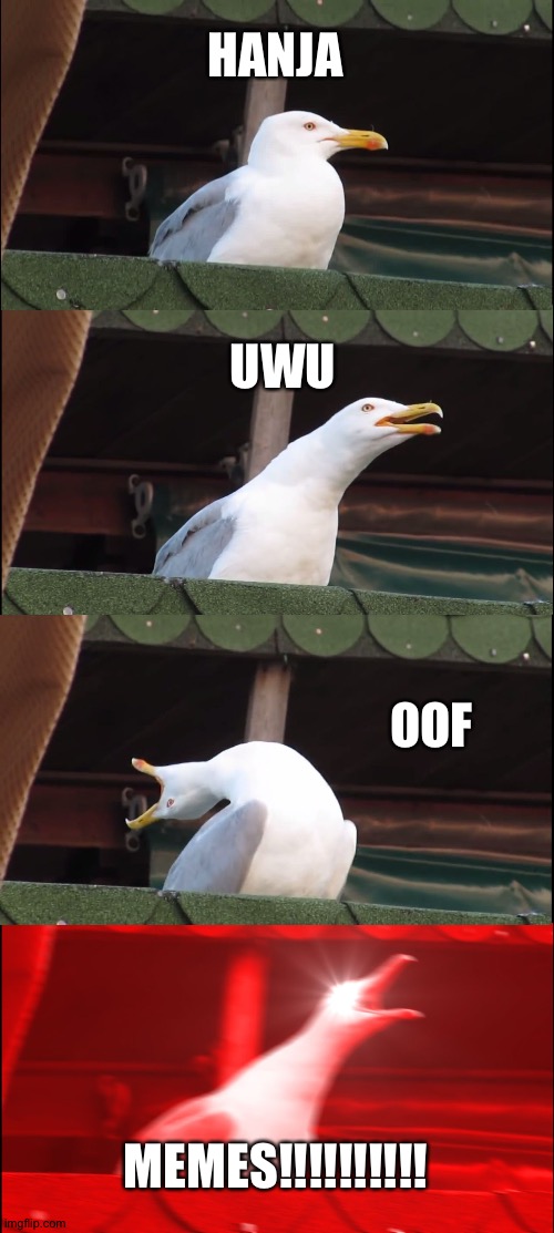 Inhaling Seagull | HANJA; UWU; OOF; MEMES!!!!!!!!!! | image tagged in memes,inhaling seagull | made w/ Imgflip meme maker