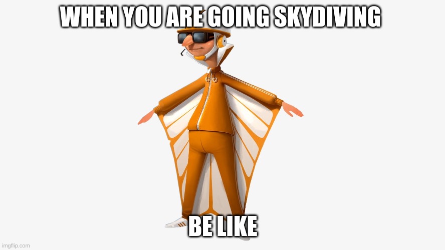 When you are going skydiving | WHEN YOU ARE GOING SKYDIVING; BE LIKE | image tagged in funny memes | made w/ Imgflip meme maker