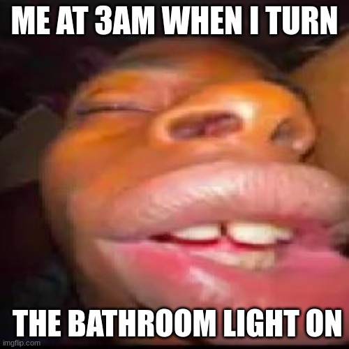ME AT 3AM WHEN I TURN; THE BATHROOM LIGHT ON | image tagged in bathroom,meme,light,goofy | made w/ Imgflip meme maker