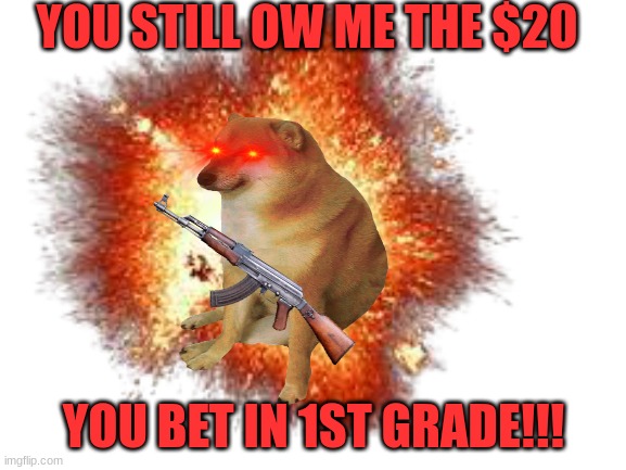 mem |  YOU STILL OW ME THE $20; YOU BET IN 1ST GRADE!!! | image tagged in cheems | made w/ Imgflip meme maker
