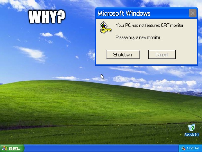 Windows XP | WHY? | image tagged in windows xp,meme,error message,shutdown | made w/ Imgflip meme maker