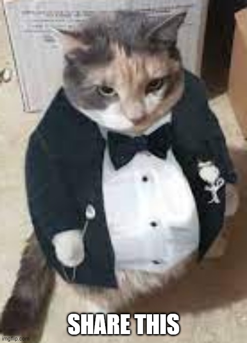 Share this meme |  SHARE THIS | image tagged in fat cat in tuxedo,fat cat,cat,tuxedo | made w/ Imgflip meme maker