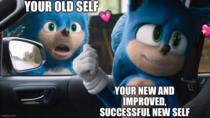 You lookin lit my guy | 💗; YOUR OLD SELF; 💖; YOUR NEW AND IMPROVED, SUCCESSFUL NEW SELF | image tagged in sonic movie old vs new,wholesome | made w/ Imgflip meme maker