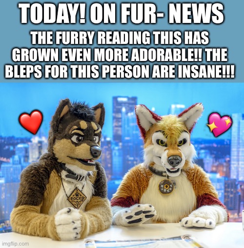 Furry News | TODAY! ON FUR- NEWS; THE FURRY READING THIS HAS GROWN EVEN MORE ADORABLE!! THE BLEPS FOR THIS PERSON ARE INSANE!!! ❤️; 💖 | image tagged in furry news,wholesome | made w/ Imgflip meme maker