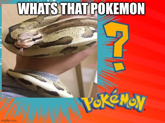 WHATS THAT POKEMON | made w/ Imgflip meme maker