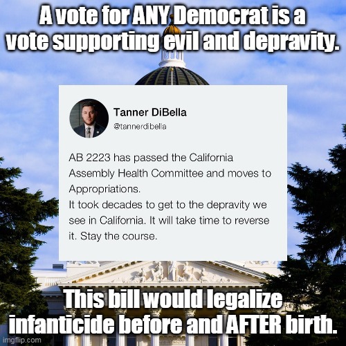 Your ad hominem and obfuscation cannot hide the fact that you are on the side of pure evil. | A vote for ANY Democrat is a vote supporting evil and depravity. This bill would legalize infanticide before and AFTER birth. | image tagged in abortion is murder | made w/ Imgflip meme maker
