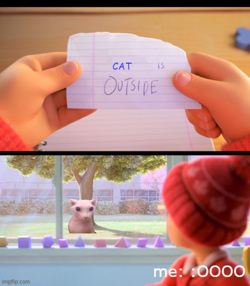 cat | CAT; me: :OOOO | image tagged in x is outside | made w/ Imgflip meme maker