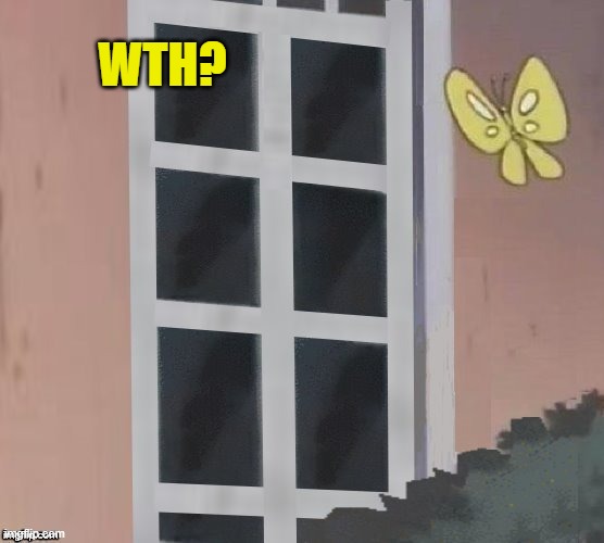 Is This A Pigeon Blank | WTH? | image tagged in is this a pigeon blank | made w/ Imgflip meme maker
