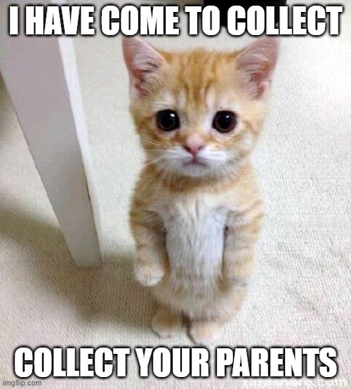 Parent Collector | I HAVE COME TO COLLECT; COLLECT YOUR PARENTS | image tagged in memes,cute cat | made w/ Imgflip meme maker