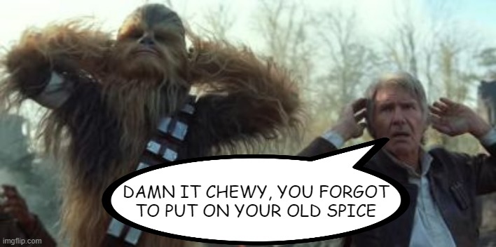 Skunky Wookie | DAMN IT CHEWY, YOU FORGOT TO PUT ON YOUR OLD SPICE | image tagged in star wars han and chewy | made w/ Imgflip meme maker