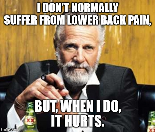 Lower Back Pain | I DON’T NORMALLY SUFFER FROM LOWER BACK PAIN, BUT, WHEN I DO,
IT HURTS. | image tagged in but when i do | made w/ Imgflip meme maker