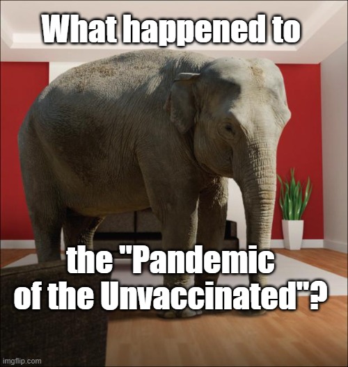 The Unvaxxed are still here | What happened to; the "Pandemic of the Unvaccinated"? | image tagged in elephant in the room,covid-19,vaccines | made w/ Imgflip meme maker