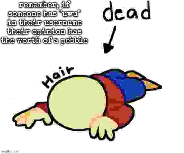 he is dead | remember, if someone has "uwu" in their username their opinion has the worth of a pebble | image tagged in he is dead | made w/ Imgflip meme maker