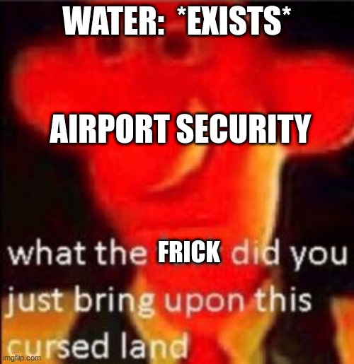 Like seriously, why do they make us pay for overpriced water and food | WATER:  *EXISTS*; AIRPORT SECURITY; FRICK | image tagged in what the fuck did you just bring upon this cursed land | made w/ Imgflip meme maker