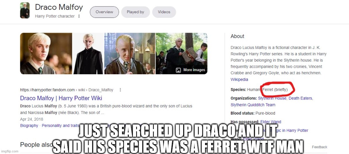 Like bro wtf it said he was a ferret | JUST SEARCHED UP DRACO AND IT SAID HIS SPECIES WAS A FERRET. WTF MAN | image tagged in draco malfoy,memes,pottah | made w/ Imgflip meme maker