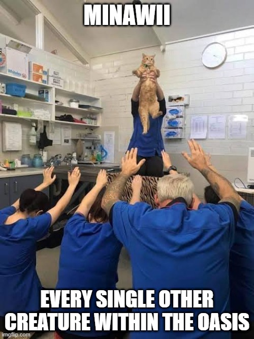 People Worshipping The Cat | MINAWII; EVERY SINGLE OTHER CREATURE WITHIN THE OASIS | image tagged in people worshipping the cat | made w/ Imgflip meme maker
