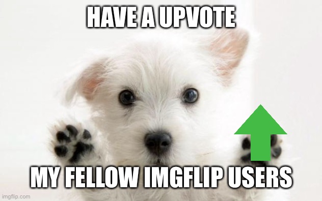 cute dog | HAVE A UPVOTE; MY FELLOW IMGFLIP USERS | image tagged in cute dog | made w/ Imgflip meme maker
