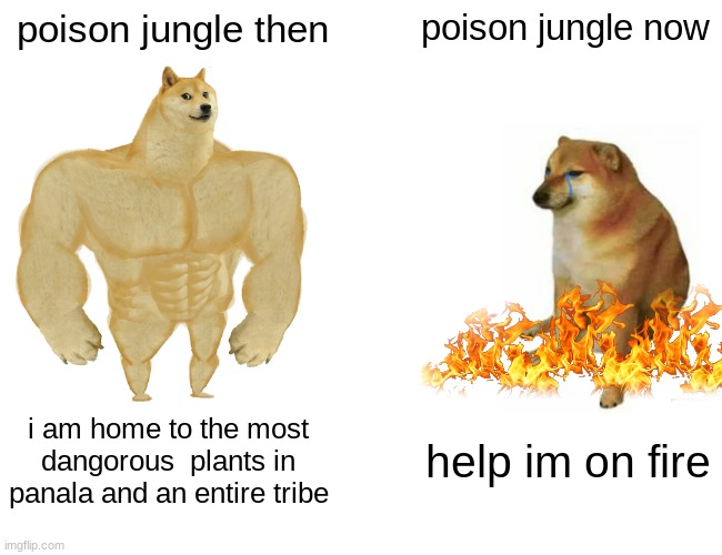 daily wof meme 69 | poison jungle then; poison jungle now; i am home to the most dangorous  plants in panala and an entire tribe; help im on fire | image tagged in memes,buff doge vs cheems | made w/ Imgflip meme maker