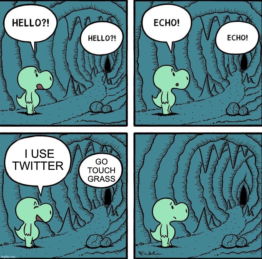 Twitter users be like: | GO TOUCH GRASS; I USE TWITTER | image tagged in echo,memes,funny,twitter,touch grass,cave | made w/ Imgflip meme maker
