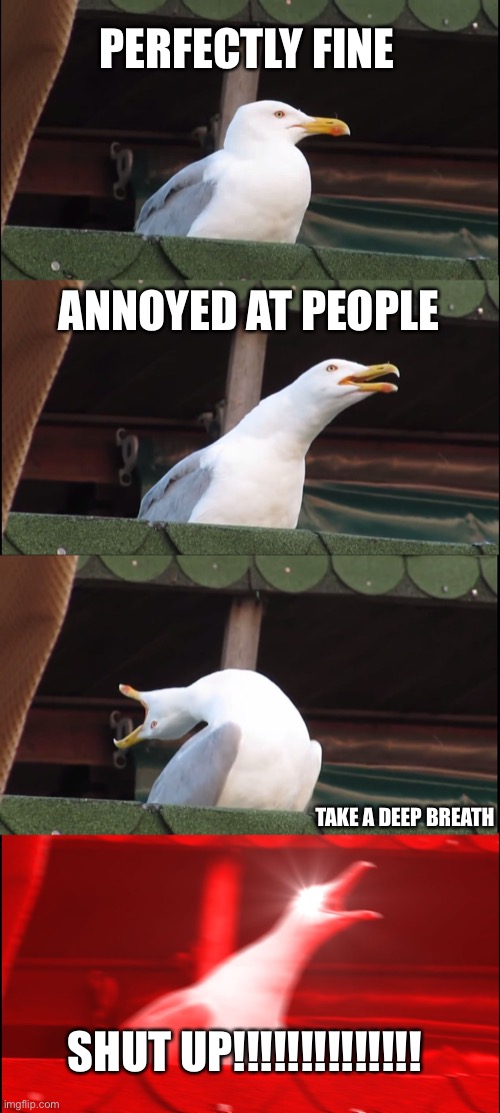 Inhaling Seagull | PERFECTLY FINE; ANNOYED AT PEOPLE; TAKE A DEEP BREATH; SHUT UP!!!!!!!!!!!!!! | image tagged in memes,inhaling seagull | made w/ Imgflip meme maker